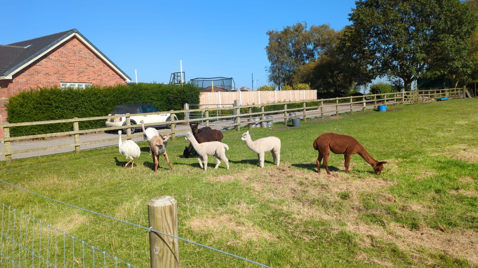 LEJOG Day 8 – Market Drayton to Culcheth